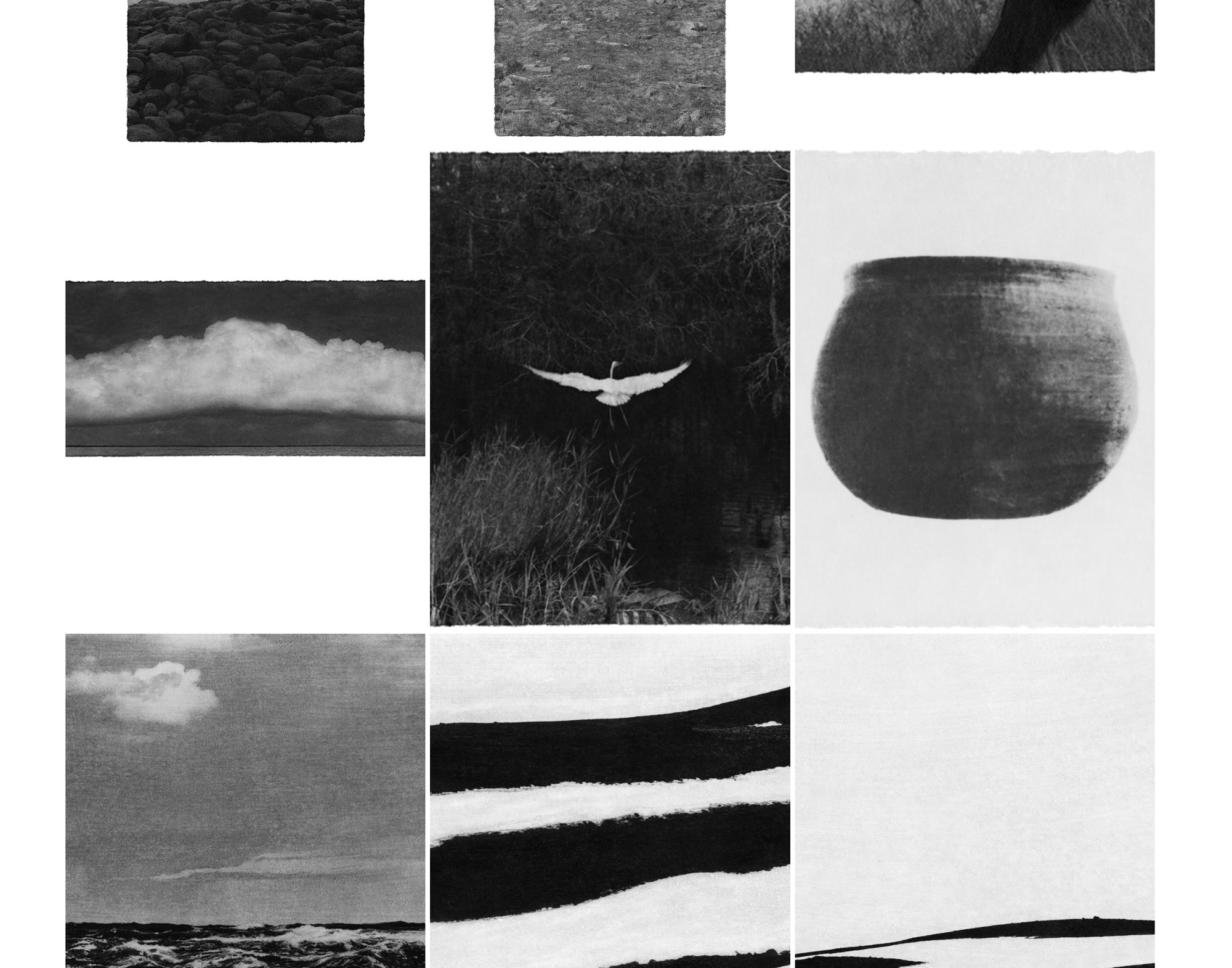 Différences entre Feed et SERP