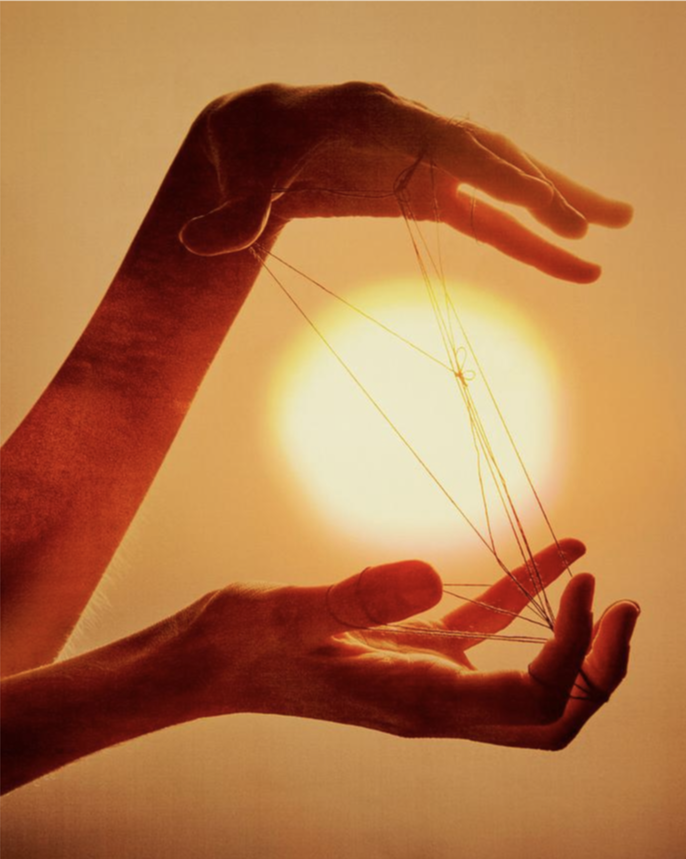 Le O du CRO : Optimiser (3/3)